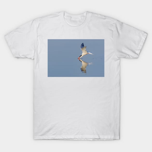 Common Tern Drinking T-Shirt by jforno